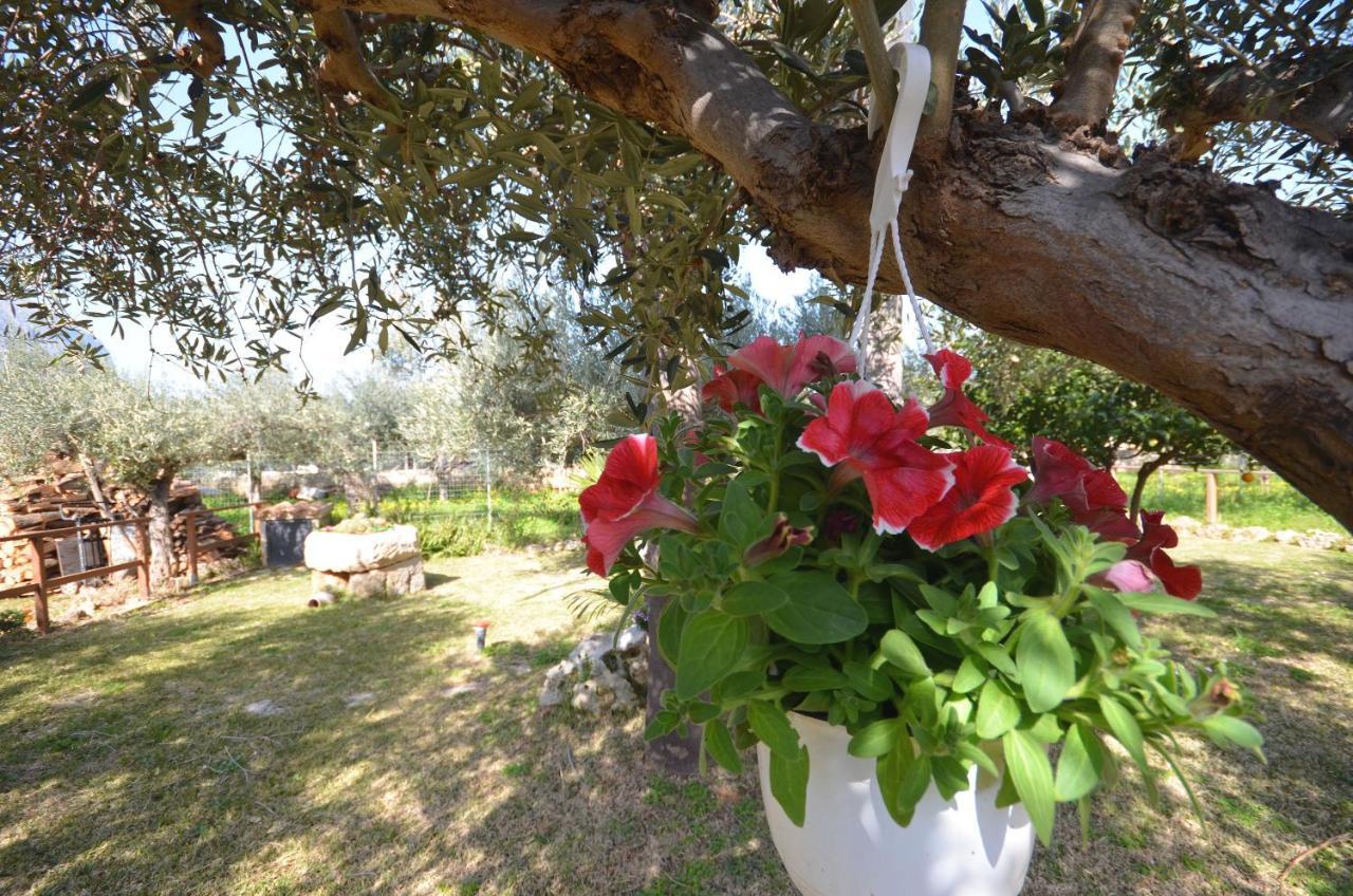 Cascina Degli Ulivi Bed and Breakfast Castelluzzo Buitenkant foto